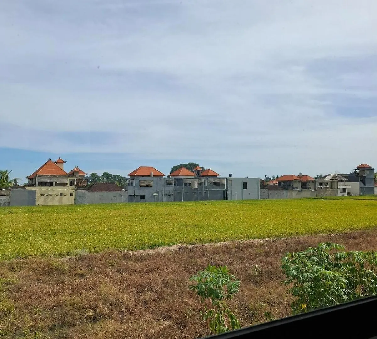 New! Cozy And Spacious Private Villa In Ubud  Ubud (Bali)